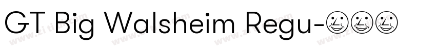 GT Big Walsheim Regu字体转换